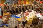 продукти, супермаркет, ціни