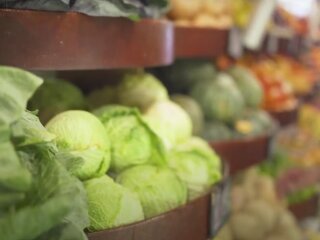 Білокачанна капуста