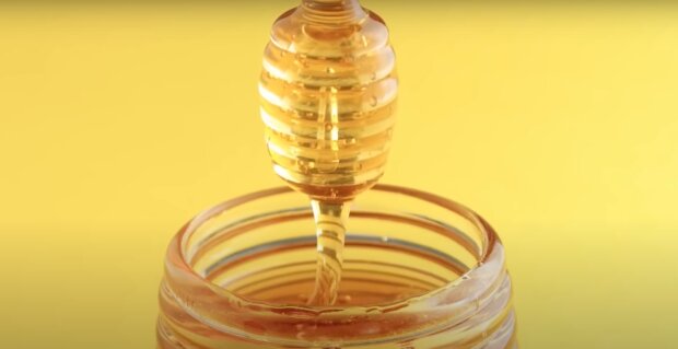 Польза меда для организма