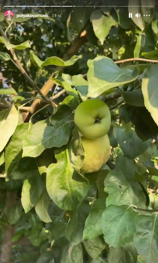 урожай Олі Полякової