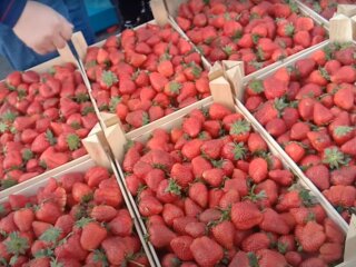 клубника, рынок, базар