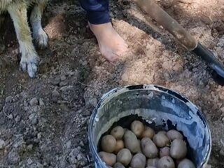Скрин публікації Павла Зіброва