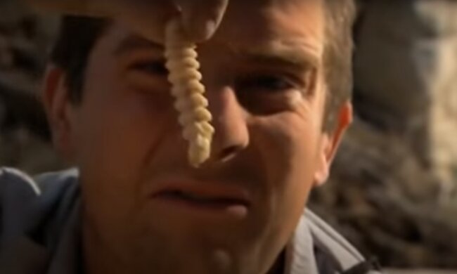Беар Гриллс
