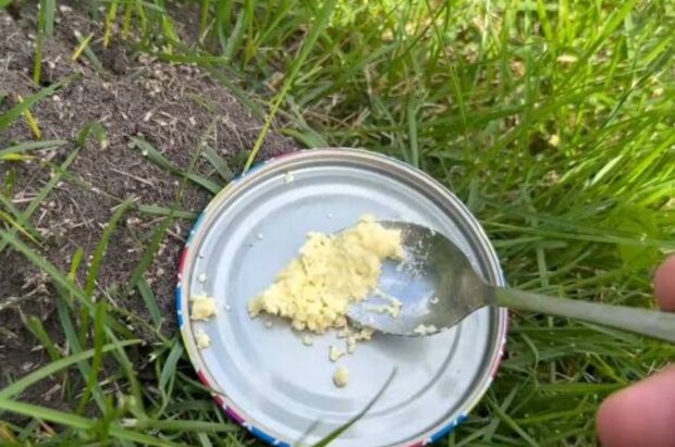 Боротьба з мурахами, кадр з відео