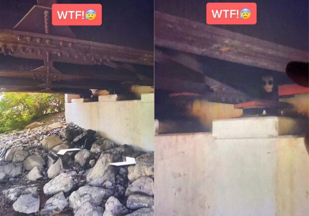 хлопець побачив на гугл-картах моторошну істоту