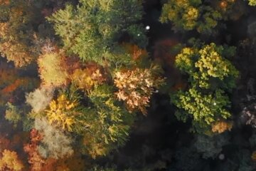 Погода, осінь, бабине літо
