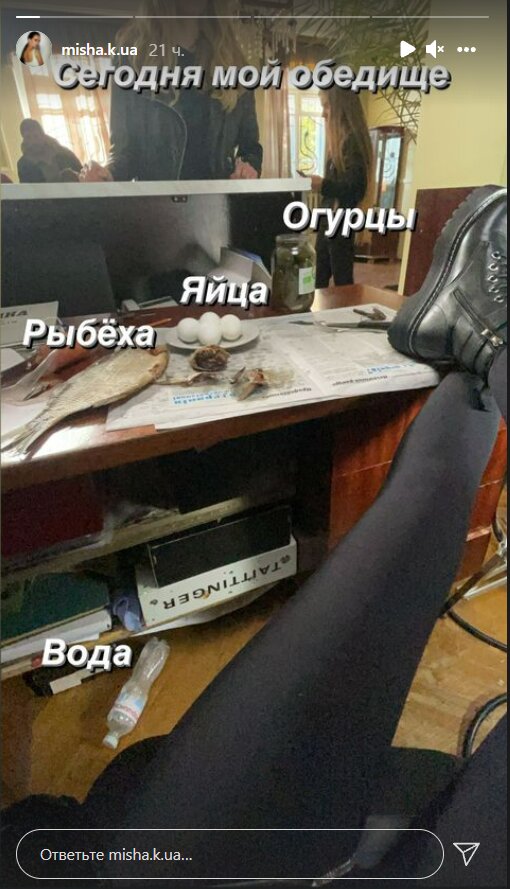 Stories Ксении Мишиной в Instagram