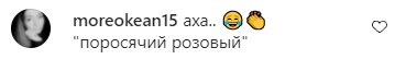Коментарі на пост Аліни Гросу в Instagram