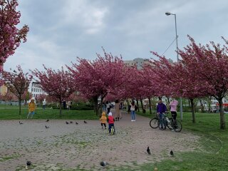 Весна в Украине, фото из соцсетей