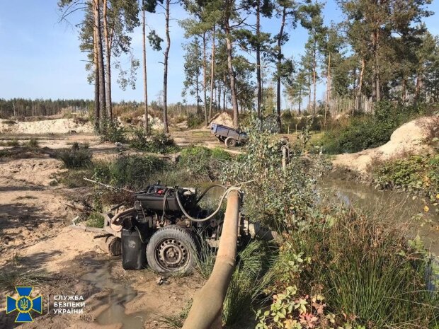 СБУ змело намивачів бурштину