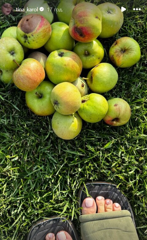 Скрин публикации Тины Кароль