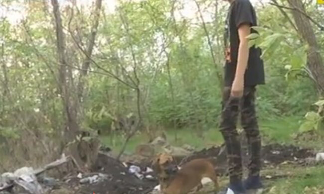 Хлопчик вигулював песика, доки він не приніс йому людську ногу