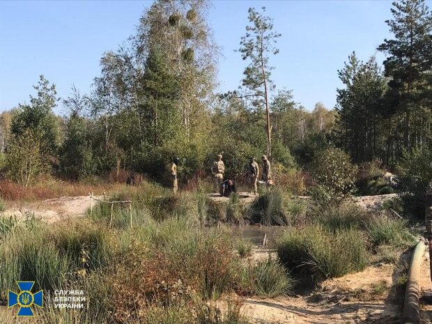 СБУ змело намивачів бурштину