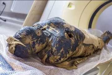 первая в мире древнеегипетская беременная мумия
