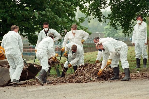 Знімок місця нападу