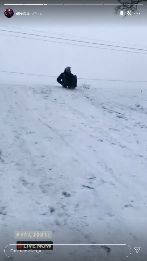 сториз Александра Эллерта