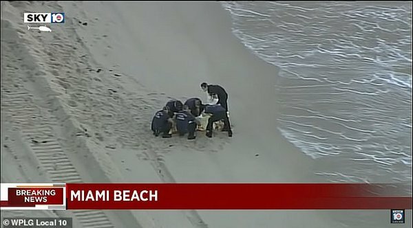 Тіло зірки серіалів знайшли на пляжі