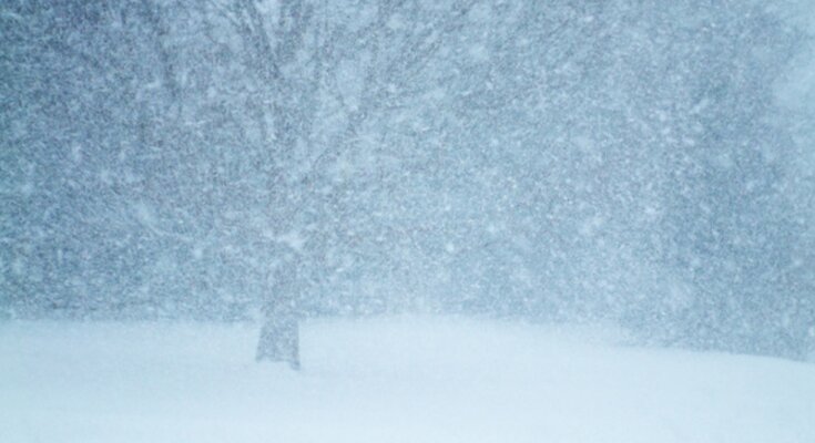 Погода, снегопад, зима