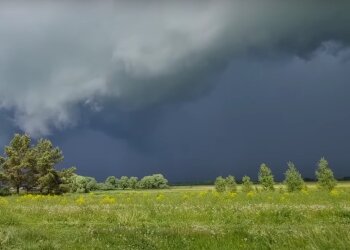 Погода
