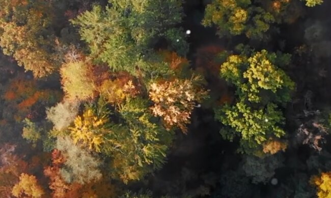 Погода, осінь, бабине літо