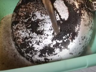 Народний спосіб очищення сковорідки