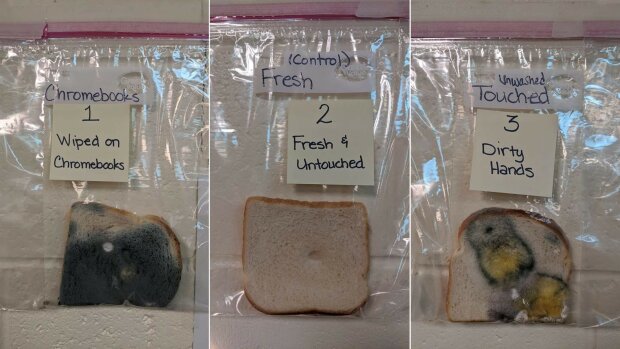 експеримент з хлібом