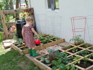 Город, полив, зображення з вільних джерел