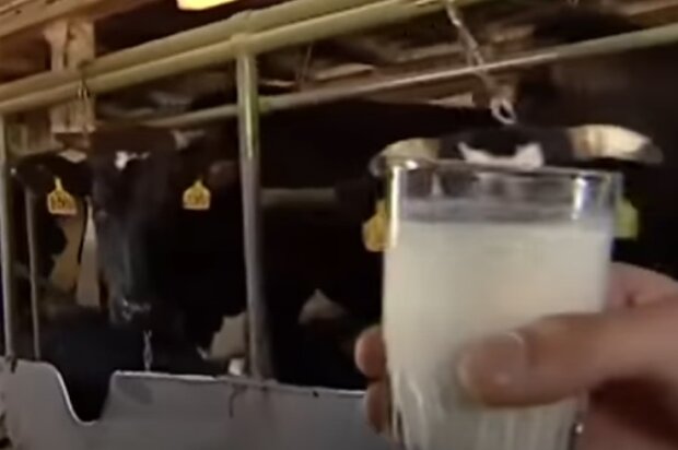 Молоко. Фото: скріншот відео.
