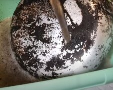Народный способ очищения сковороды