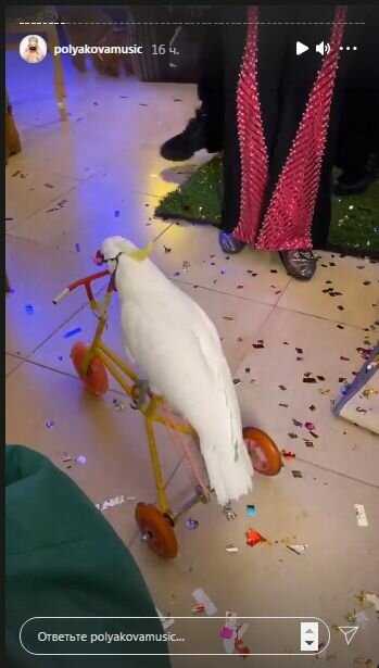 Сториз Оли Поляковой