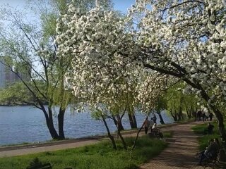 Погода, весна, потепління