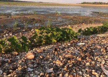 Город на Каховському водосховищі