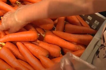 Цены на морковь в Украине