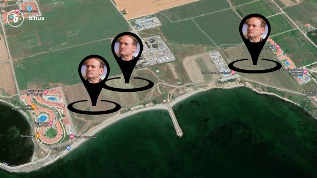 земельні ділянки Медведчука у Болгарії