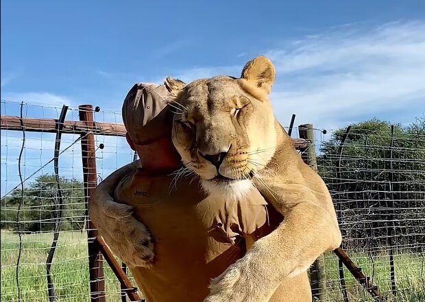 чоловік обіймається з левицею