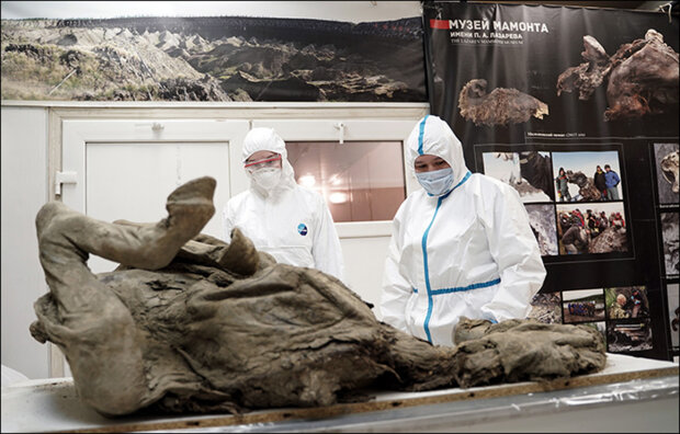 Вчені витягнуть віруси зомбі з трупів древніх тварин