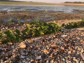 Город на Каховському водосховищі