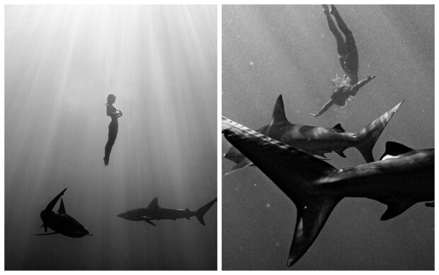 Гола модель кинулася в океан до акул