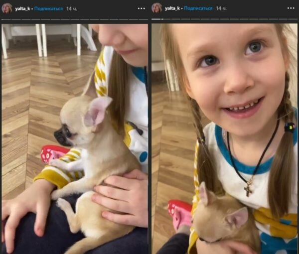 Младшая дочь Кошевого с новым питомцем