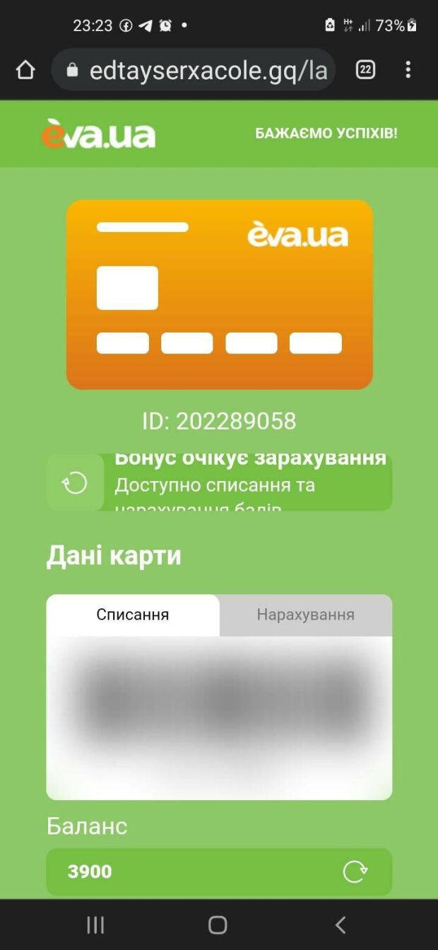 Мошенники в EVA