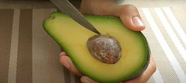Користь і шкода авокадо