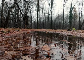 Погода, осінь, дощі