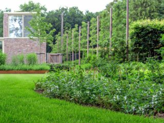 Огород, изображение из свободных источников