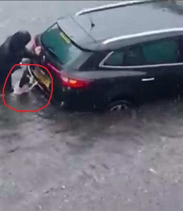 Собака і господиня