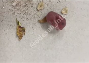 Супермаркет продав пачку вівсянки, в якій жили і плодилися миші