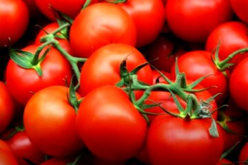 томати помідори