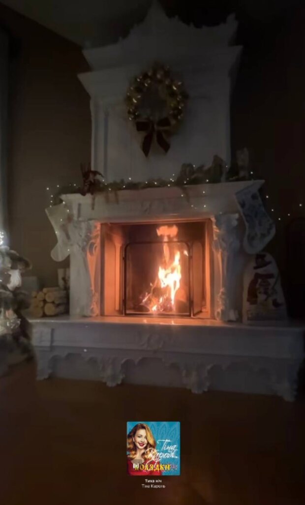 Сториз Тины Кароль