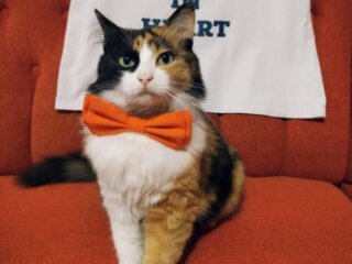 Кандидатка в мери Рівне