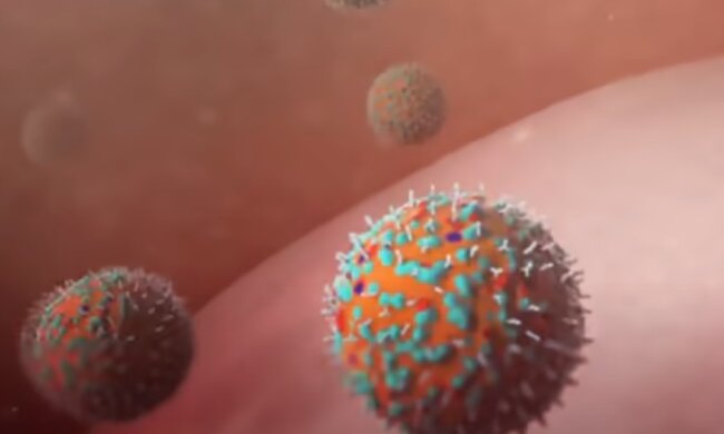 Это надо знать всем: ученые обнаружили, что избавляет от коронавируса