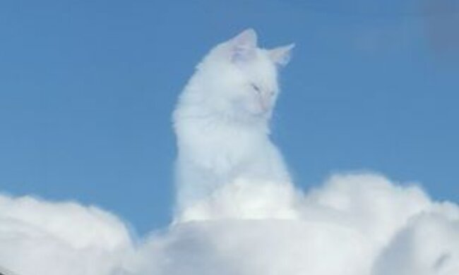 Ілюзія